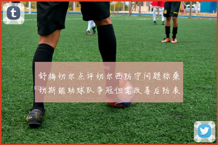 舒梅切尔点评切尔西防守问题称桑切斯能助球队争冠但需改善后防表现