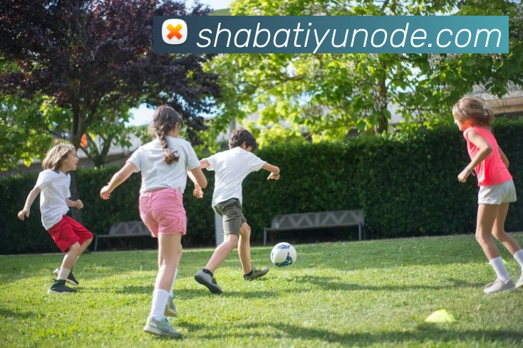 沙巴体育APP 封面图